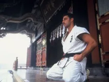 kyokushin