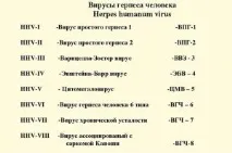 Генітальний герпес збудник інфекції збудник