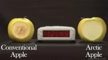 їсти
