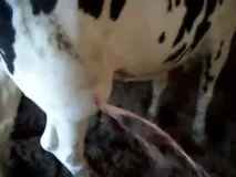 Гнійники у сайт