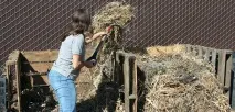 Як швидко зробити компост зробити