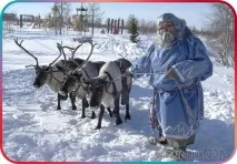 діди