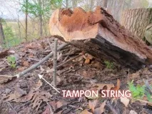 Як використовувати тампон справжньому чоловікові 10 суворих порад (19 фото) порад