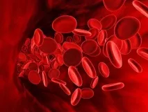 Які продукти підвищують гемоглобін підвищують