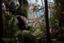 Таїланд. Сумний досвід на Ко Лані сумний
