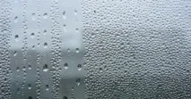 вологи