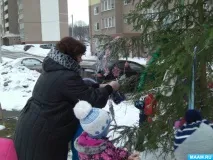 ялинки