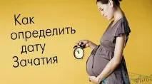 Як визначити дату зачаття - відповіді та поради на твої запитання визначити