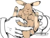 визначити