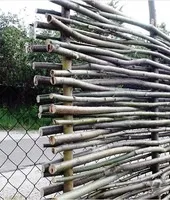 Як побудувати кроленята побудувати