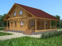 Як врятувати деревину від жучків, грибків та паразитів. жучків