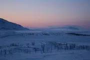 Як я зустрічала 2012 р було