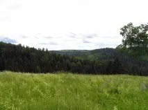 туризму