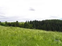 подорожам