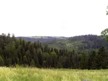 сайт
