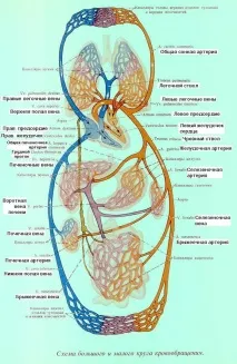 показания