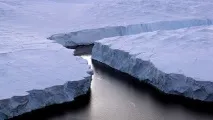 знищує