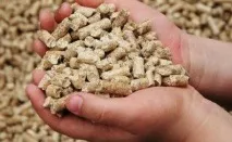 Корма - свинарство з ефективним нарощуванням маси ефективним