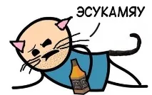 Кіт, який бачив у цьому житті все який