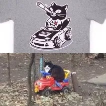 Курить кіт 2 курить