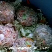 квашеною
