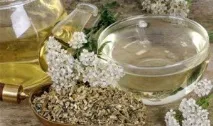 Лікувальні властивості деревію, Здорове життя лікувальні