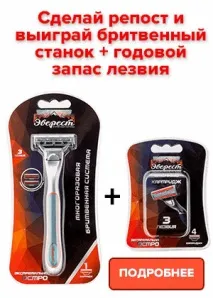 матки