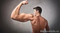 Найкращі вправи для біцепсів та трицепсів - Street Workout - тренування з власною вагою біцепсів
