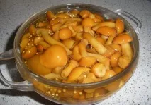 маслюки