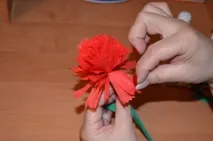 Майстер-клас з виготовлення гвоздики з гофрованого паперу виготовлення
