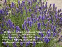 МастерВеда - Архів блогу - Слов’янські свята свята