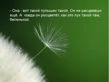 МастерВеда - Архів блогу - Слов’янські свята мастерведа