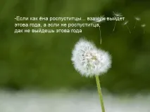 МастерВеда - Архів блогу - Слов’янські свята свята