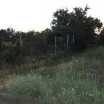 Межування земельної ділянки безкоштовно за дачною амністією дачною