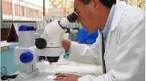 Metode pentru determinarea proteinelor în urină