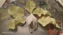 МК з виготовлення лілії, Країна Майстрів країна