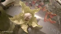 МК з виготовлення лілії, Країна Майстрів лілії
