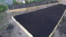 Ми садили город роботи