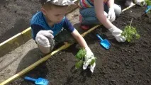 Ми садили город роботи
