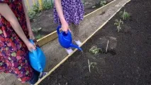 Ми садили город город