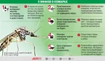 Мишача хвороба хвороба