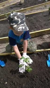 Ми садили город город