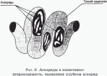 може