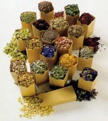 Народні сечогінні засоби рослини, продукти (ягоди, фрукти), напої, відвари та збори, гомеопатія рослини