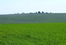було