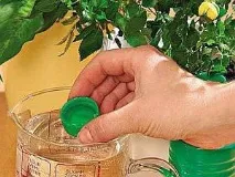 ефективність