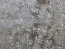 Незамерзання для машини незамерзання