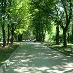 Про братів менших (з дітьми) 4, 7 дітьми