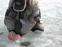 НЮАНСИ ДОННОГО КОВКА риби