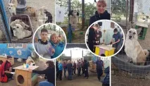 Один день добра в притулку для бездомних собак - Острівець Надії”, Мій світ у фотографіях добра